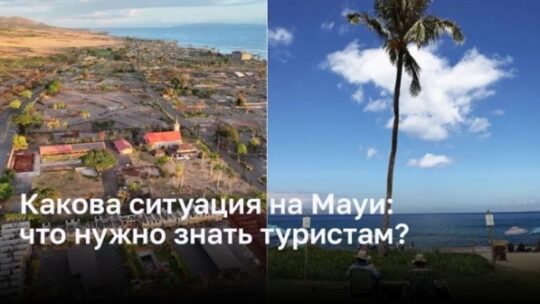 Какова ситуация на Мауи: что нужно знать туристам?